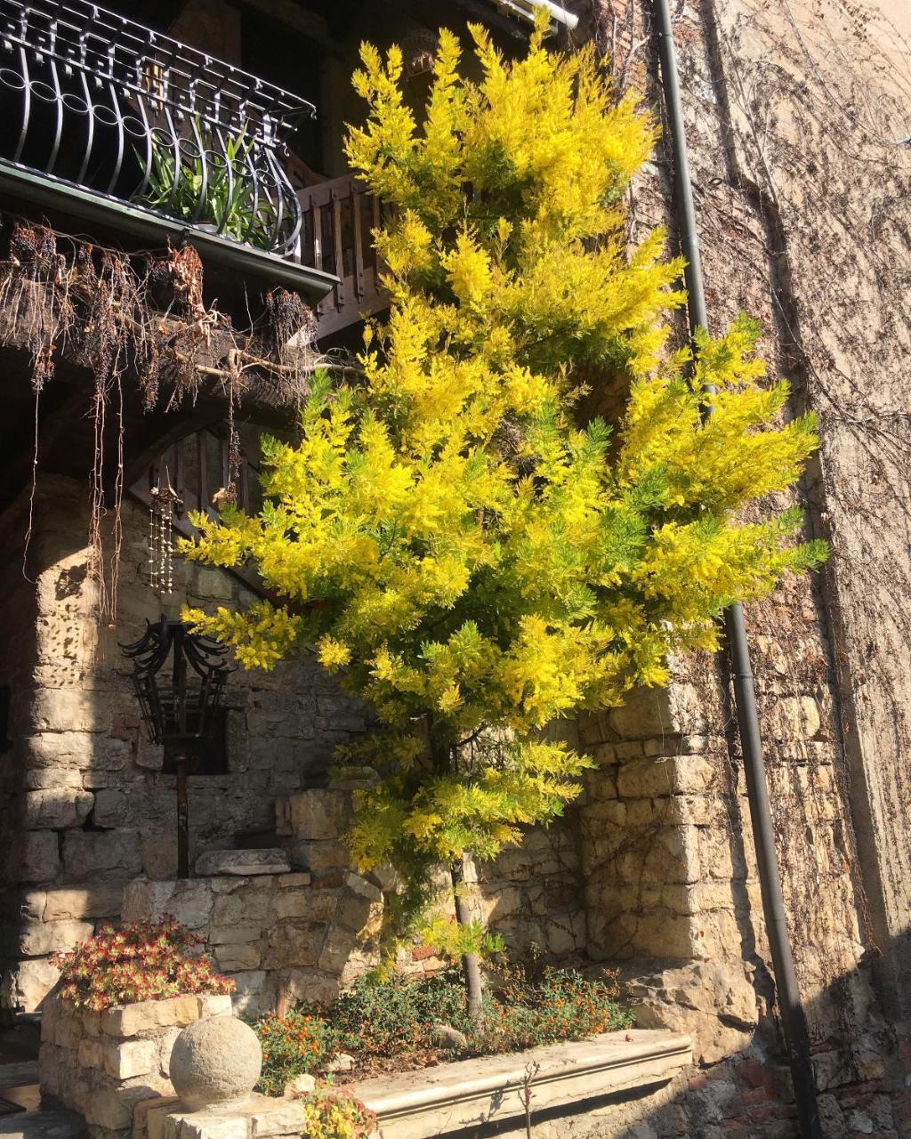 Torre De Salis Bed & Breakfast Gussago Dış mekan fotoğraf